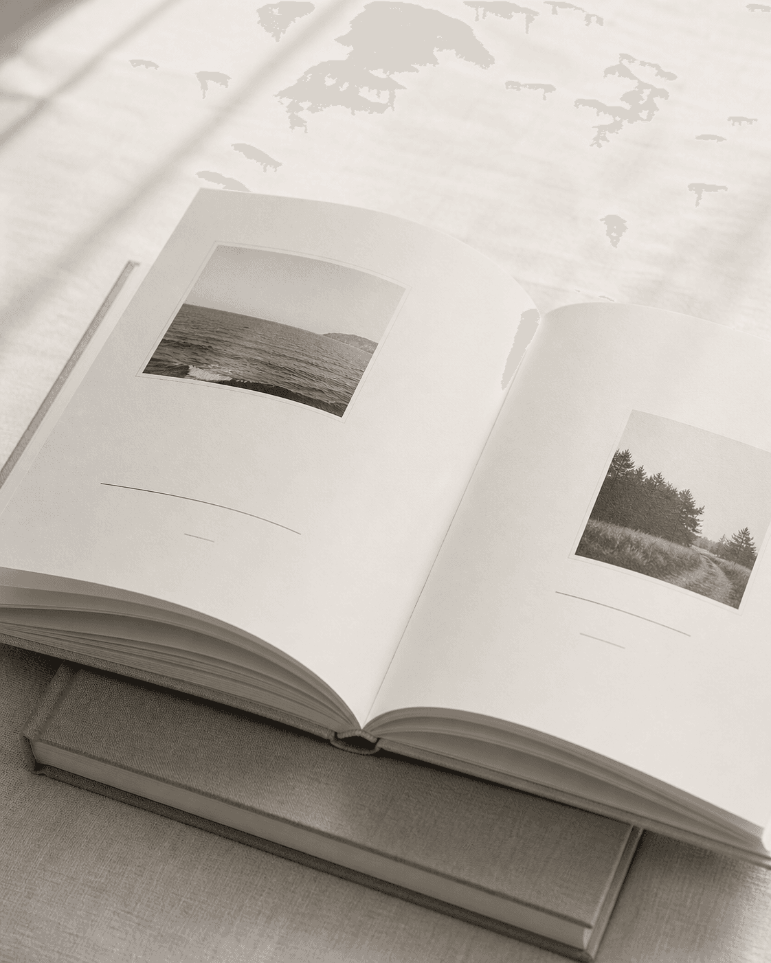 Design preview of a family biography with photographs and written stories across its pages.